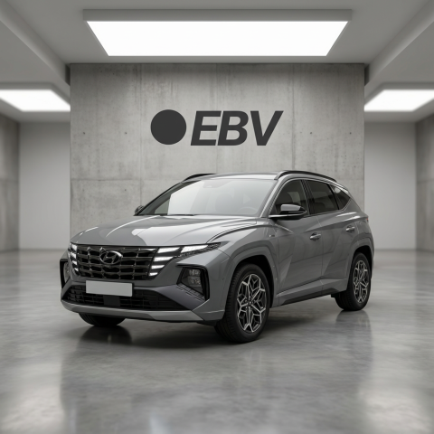 Volkswagen Volkswagen Polo V 1.2 60 Trendline 5p